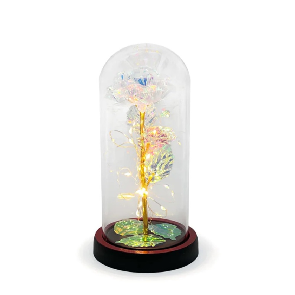 BRAND NEW Glass encased light up enchanted rose forever rose Valentine's Day